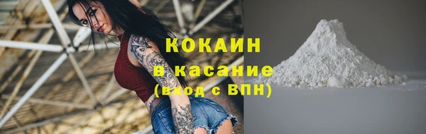 прущие крисы Белокуриха